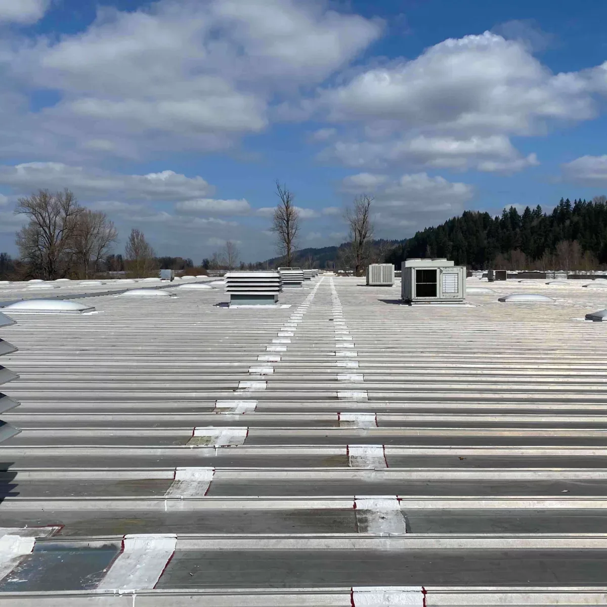 Commercial Roof Ponding Repair in New Braunfels, TX